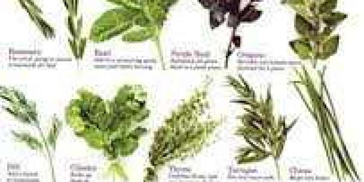 Natural herbs for healthy life