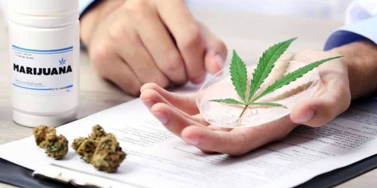 Cannabis consultation