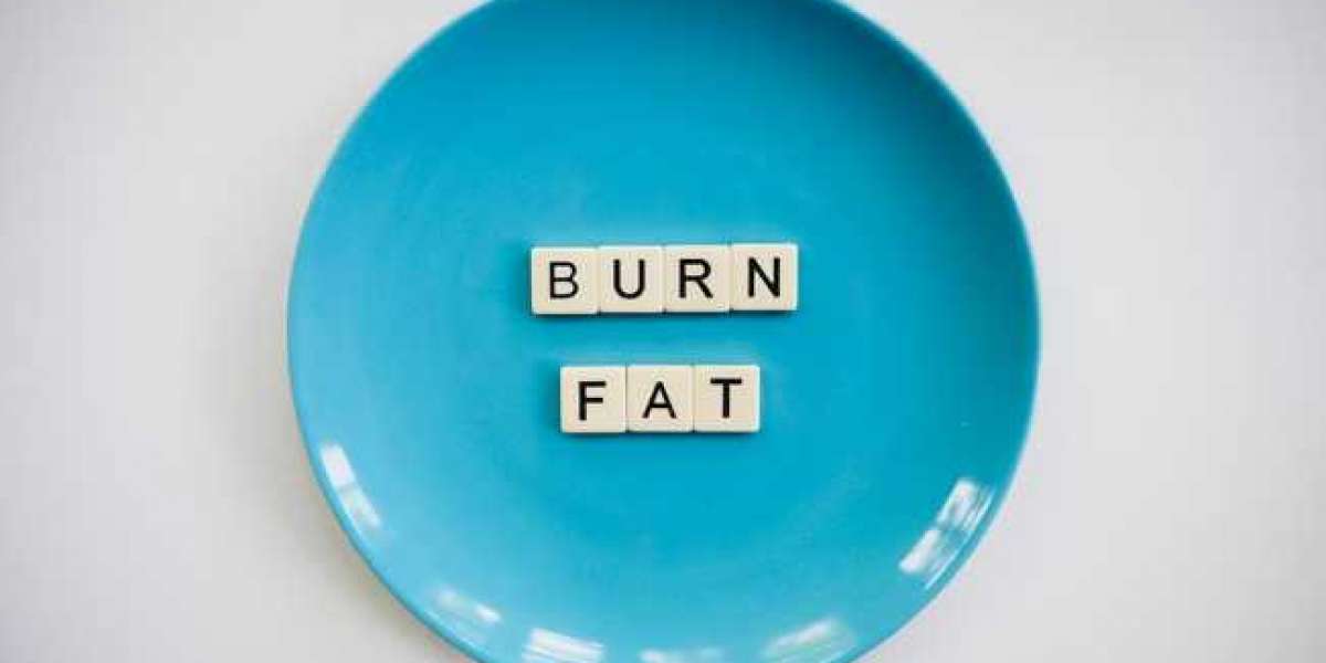 Belly Fat Burner: Top Fat-Burning Supplements