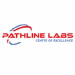 Pathline Lab Profile Picture