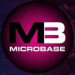 Micro Base Profile Picture