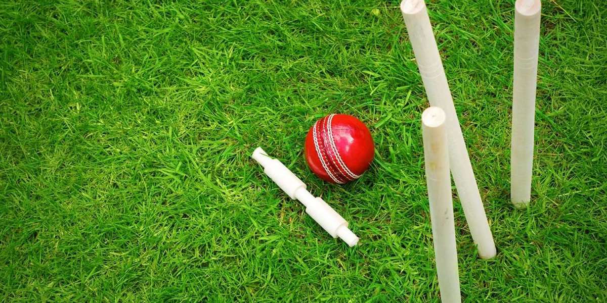 In 2023, would India permit online cricket betting?