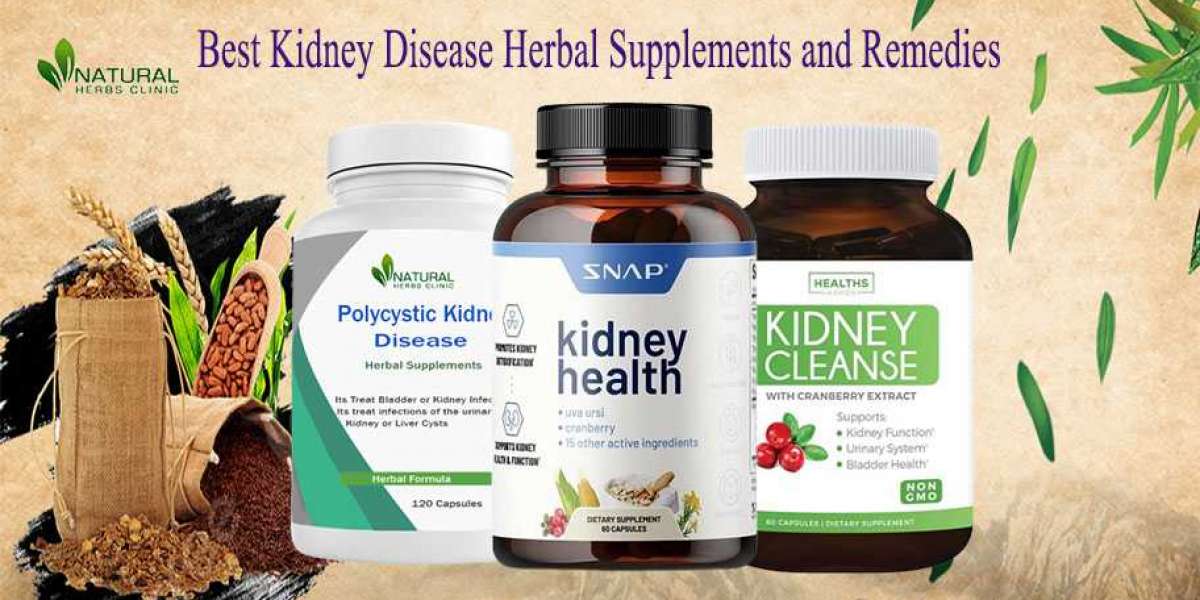 10 Best Kidney Disease Herbal Supplements and Remedies