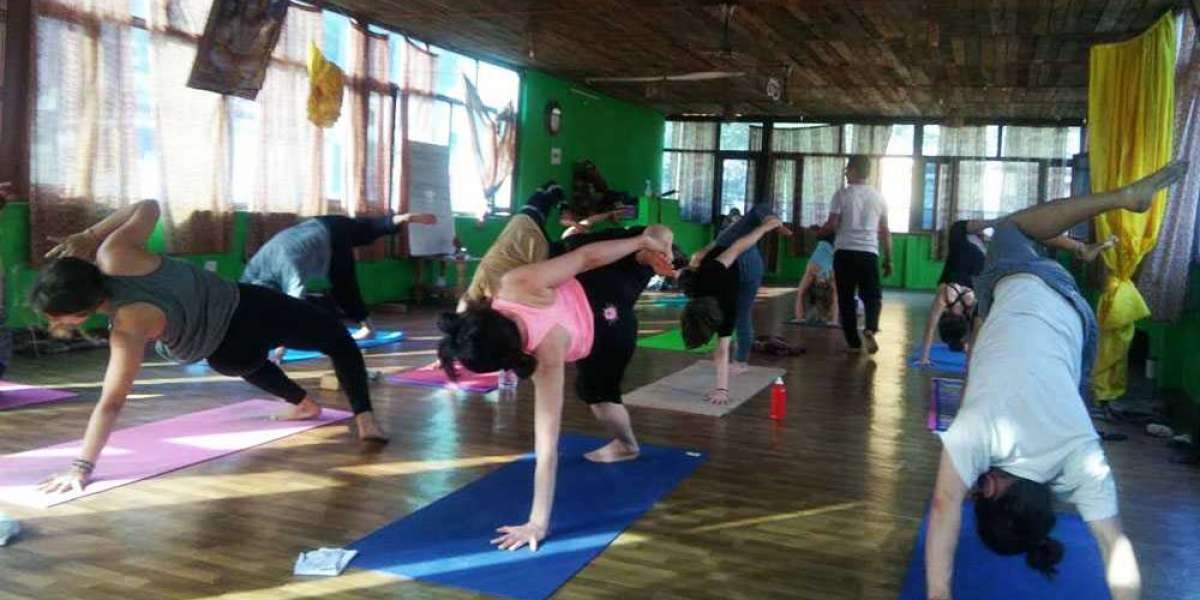 500 Hour Yoga Teacher Training in Rishikesh  |  500 Hour Yoga TTC in Rishikesh