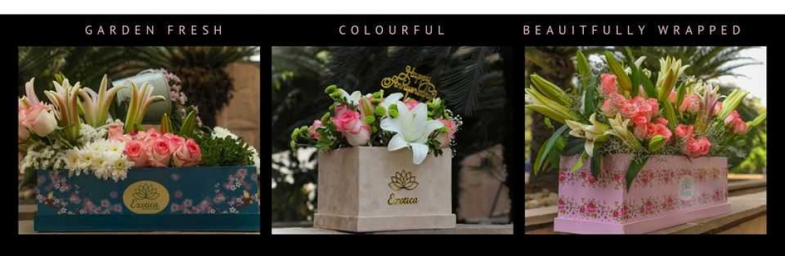 Exotica – The Gifting Tree Cover Image