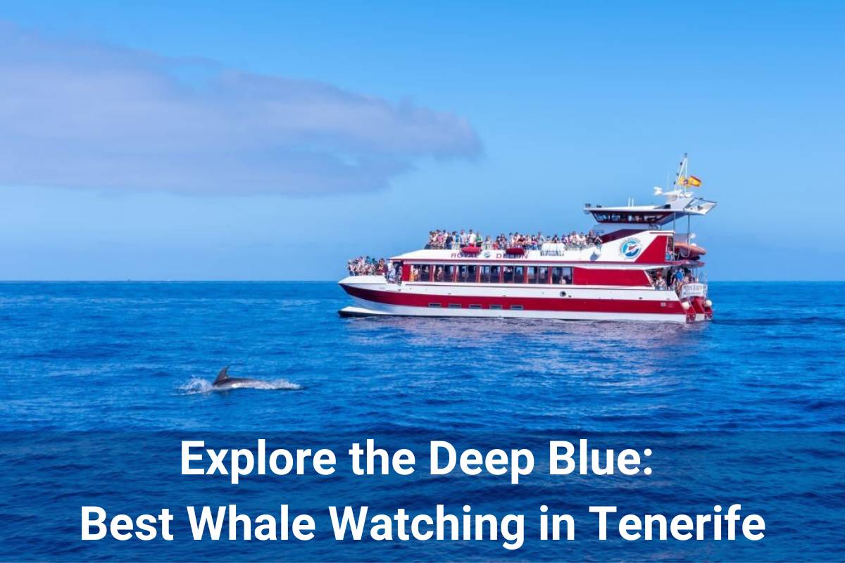 Explore the Deep Blue: Best Whale Watching in Tenerife - Zihuago