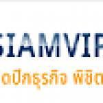 readymadewebthai Profile Picture