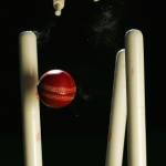 Online Cricket ID Provider Profile Picture