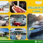 Du thuyền Stellar of the Seas Lan Hạ Lan Hạ Profile Picture