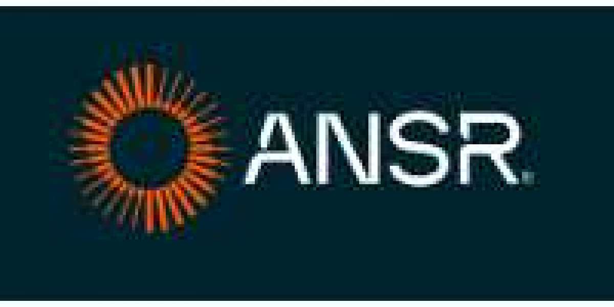 ANSR | What is Employer of Record and Why Do You Need It