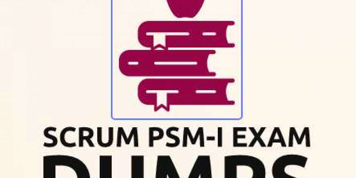 PSM-I Exam Dumps funding source of the project varies by organization
