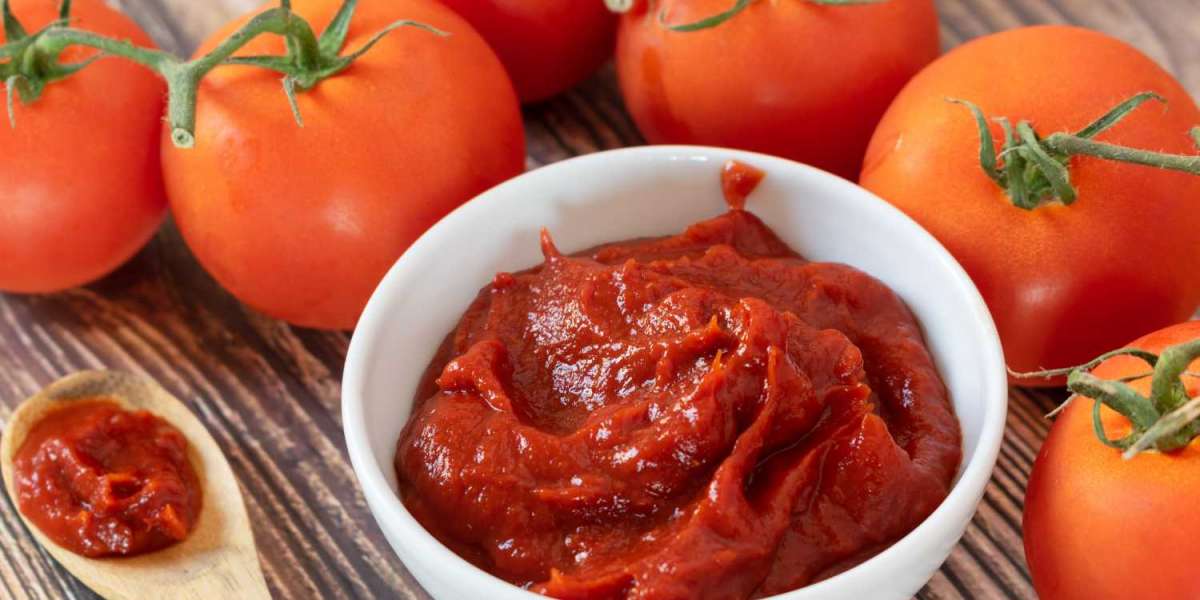 Tomato Processing Market Key Strategies, Application, Growth, Trends and Opportunities 2028