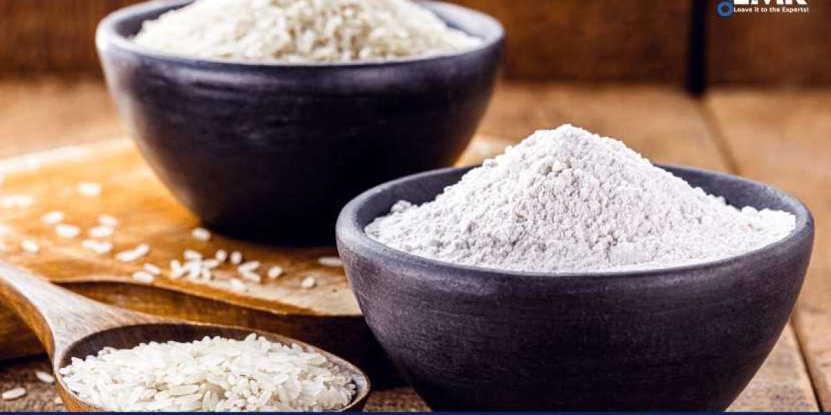 Rice Protein Market Share, Size, Growth, Analysis, Report, Forecast 2023-2028