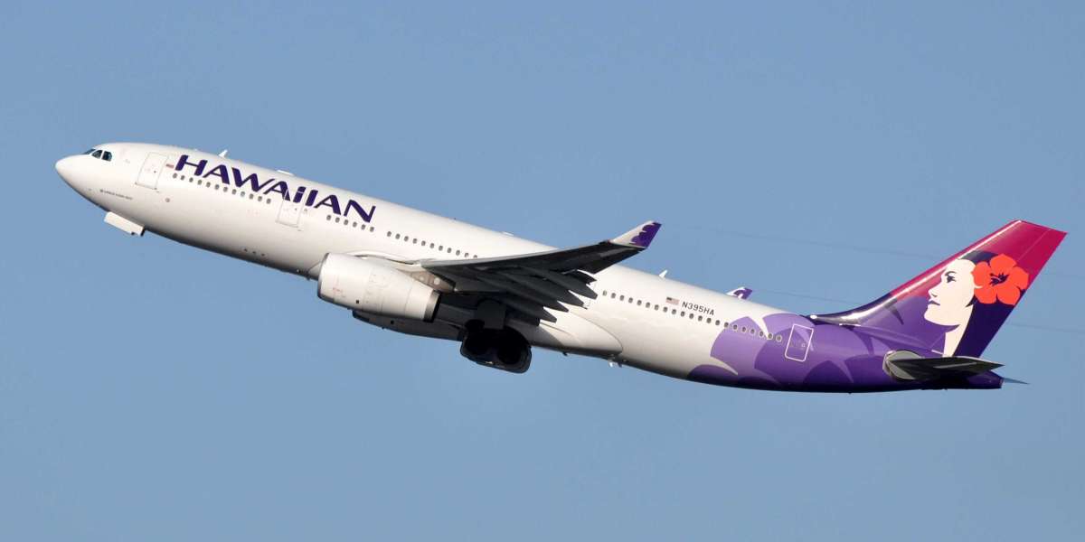 Can I Track My Hawaiian Airlines Flight?