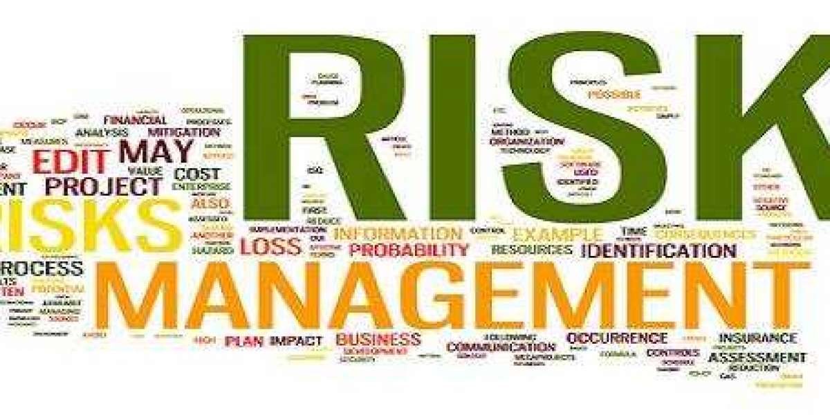 Risk Management Assignment Help: Ensuring Success through Strategic Mitigation