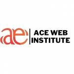 Ace Web Institute Profile Picture