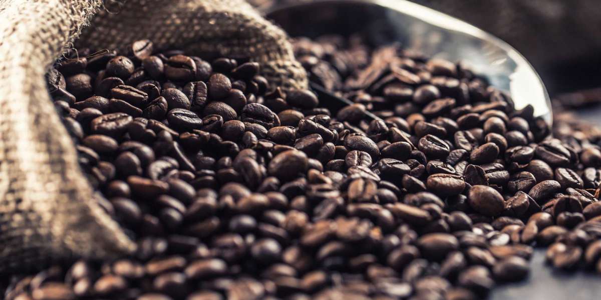 The Rising Trend of Wholesale Roasted Coffee Beans