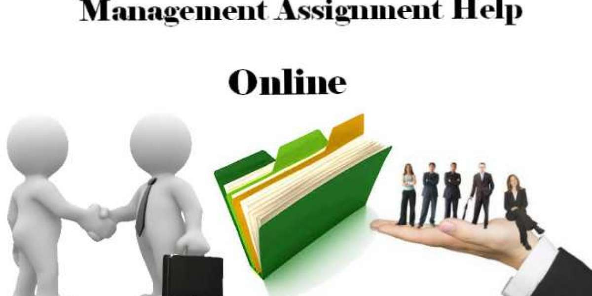 The Benefits of Using Professional Management Assignment Help Services