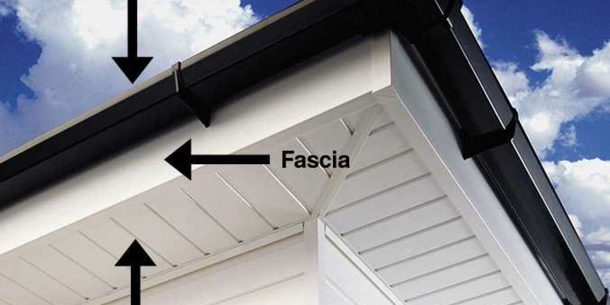 The Importance of Soffit Cleaning: Finding Services Near Me