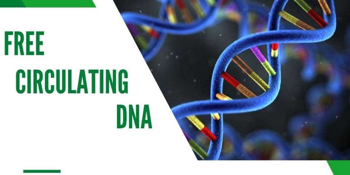 Advancements in Circulating Free DNA Research: Implications for Precision Healthcare