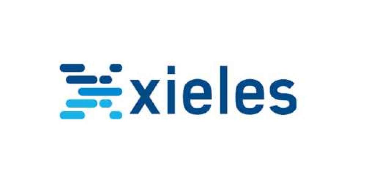 Xieles - The Leading Best Server Management Company