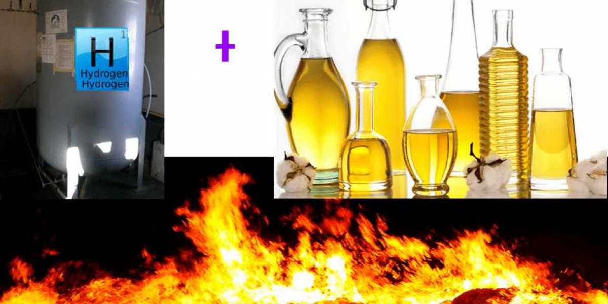 A Short Blog on the Refining Process of Sunflower Oil