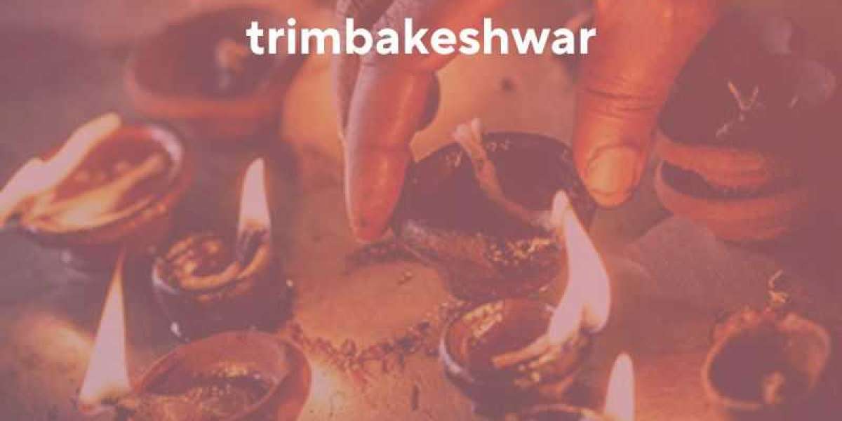 Unveiling Divine Wisdom: Discover the Best Pandit for Kaal Sarp Puja in Trimbakeshwar