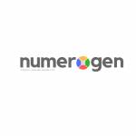 Numerogen Solutions Profile Picture