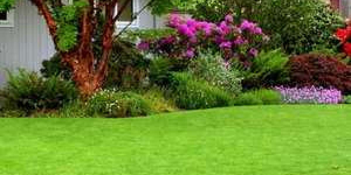 The Green Oasis: A Comprehensive Guide to Lawn Care in New Jersey