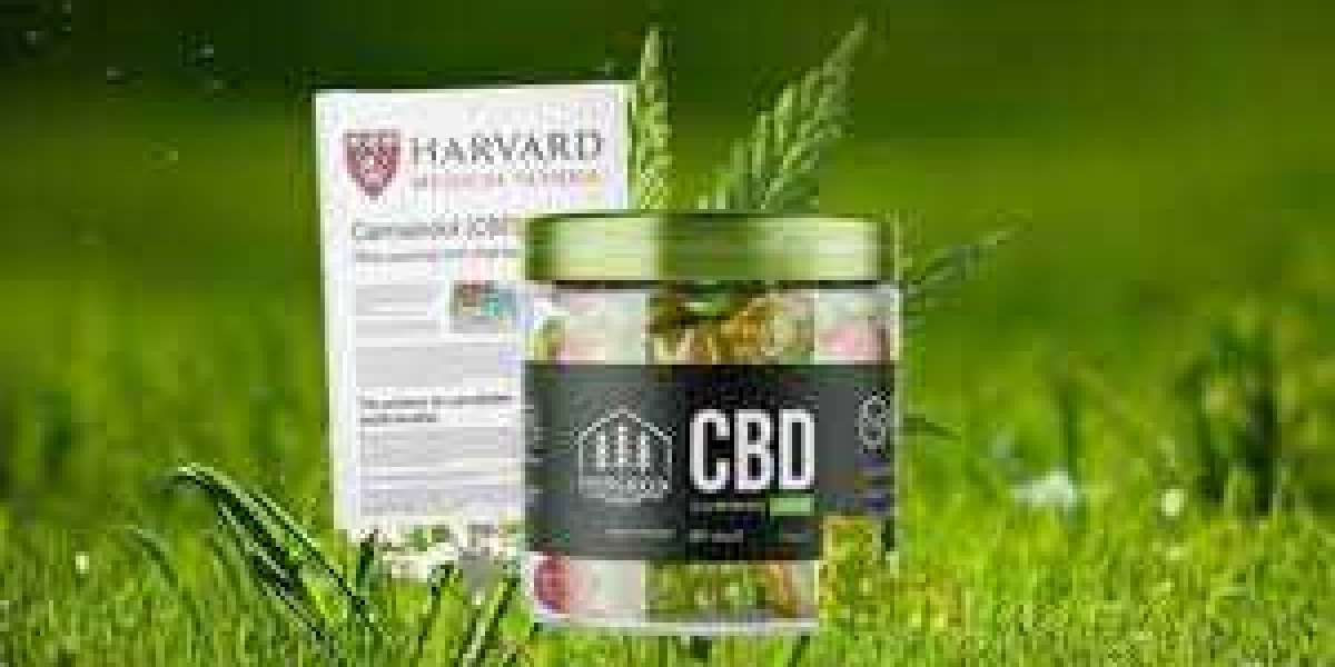 13 Things About Evergreen CBD Gummies You May Not Have Known