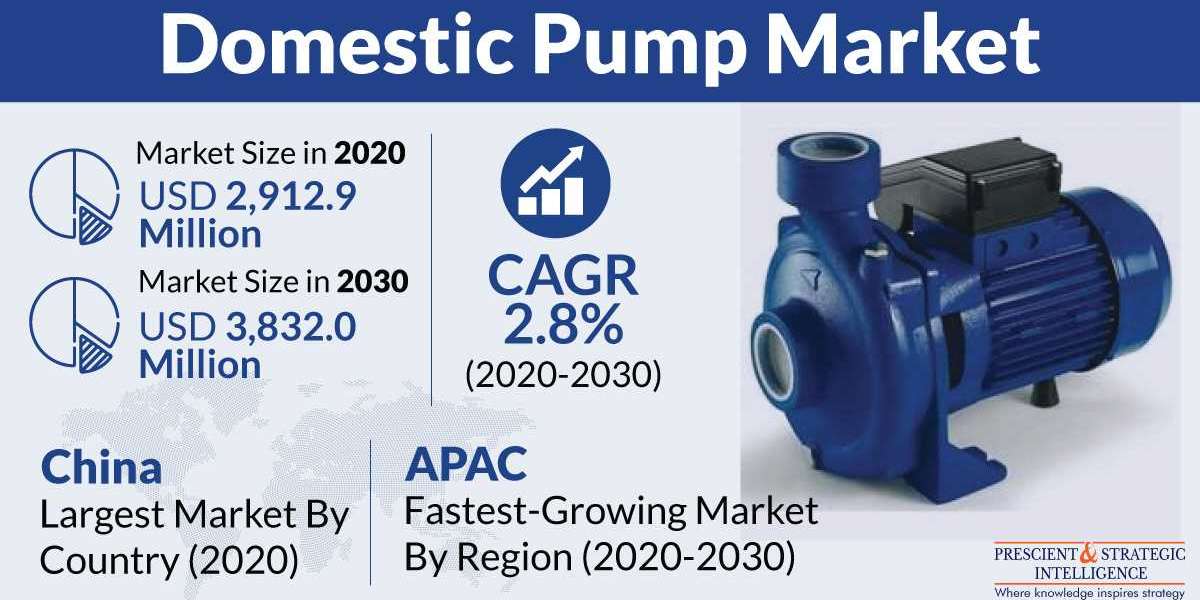 Domestic Pump Market Analysis by Trends, Size, Share, Growth Opportunities, and Emerging Technologies