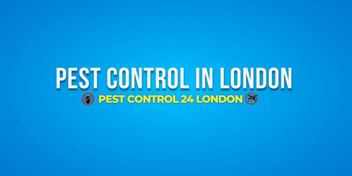 Pest Control in London: Ensuring a Safe and Pest-Free Home
