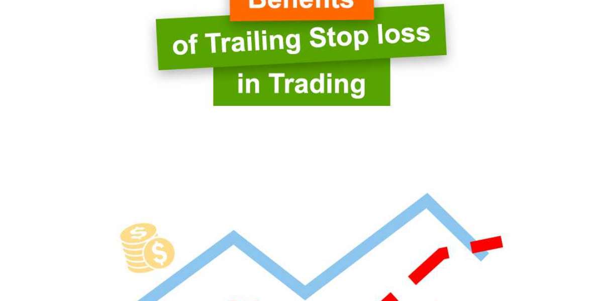 How to set it up Auto Pips Winner Indicator?