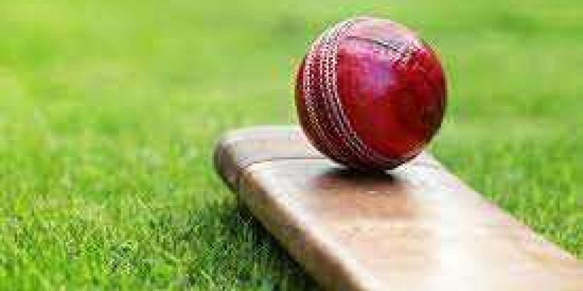 Betting Codes and Cricket Betting Codes: A Beginner's Guide