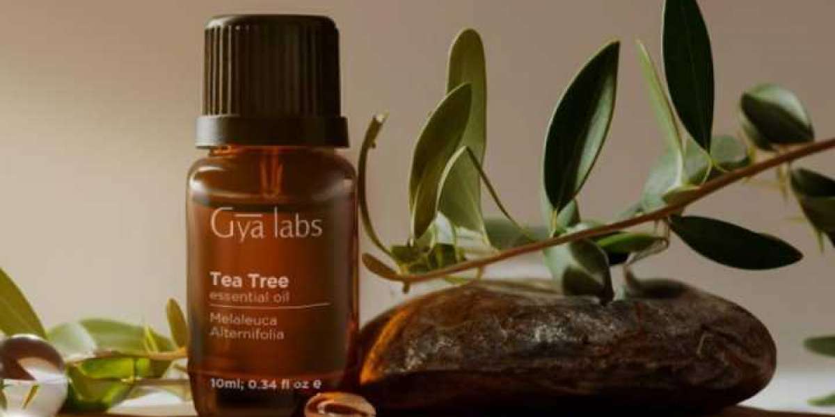 Tea Tree Oil for Dry Hair: Hydration and Nourishment at Your Fingertips