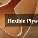 trojanply 1 Profile Picture