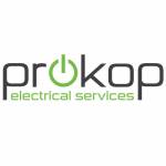 Professional Electricians Profile Picture