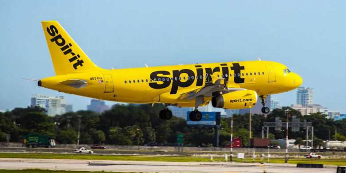Spirit Airlines Name Change or Correction Policy