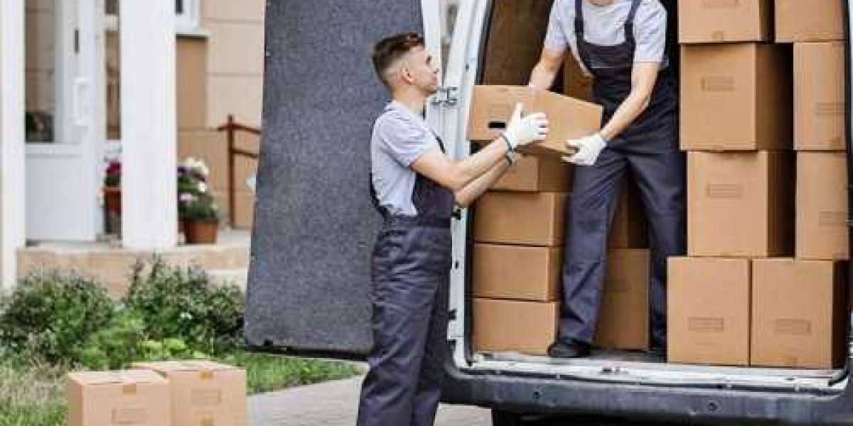 Be At The Top Of World With Furniture Removals Christchurch