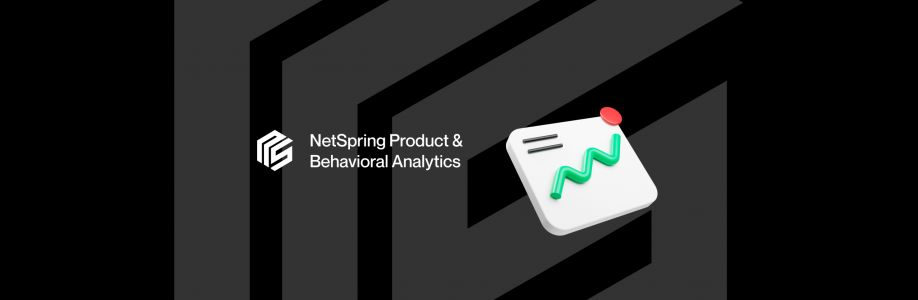 NetSpring Cover Image