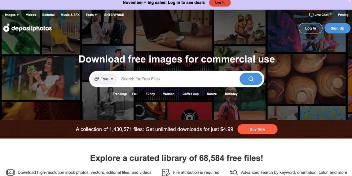 Visual Brilliance: The Search for Premium-Quality Images