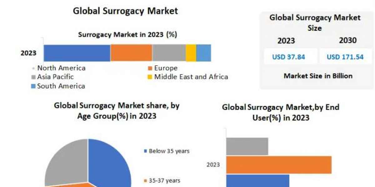 Surrogacy Market Historic Analysis, Industry Growth Factors, And Forecast 2030