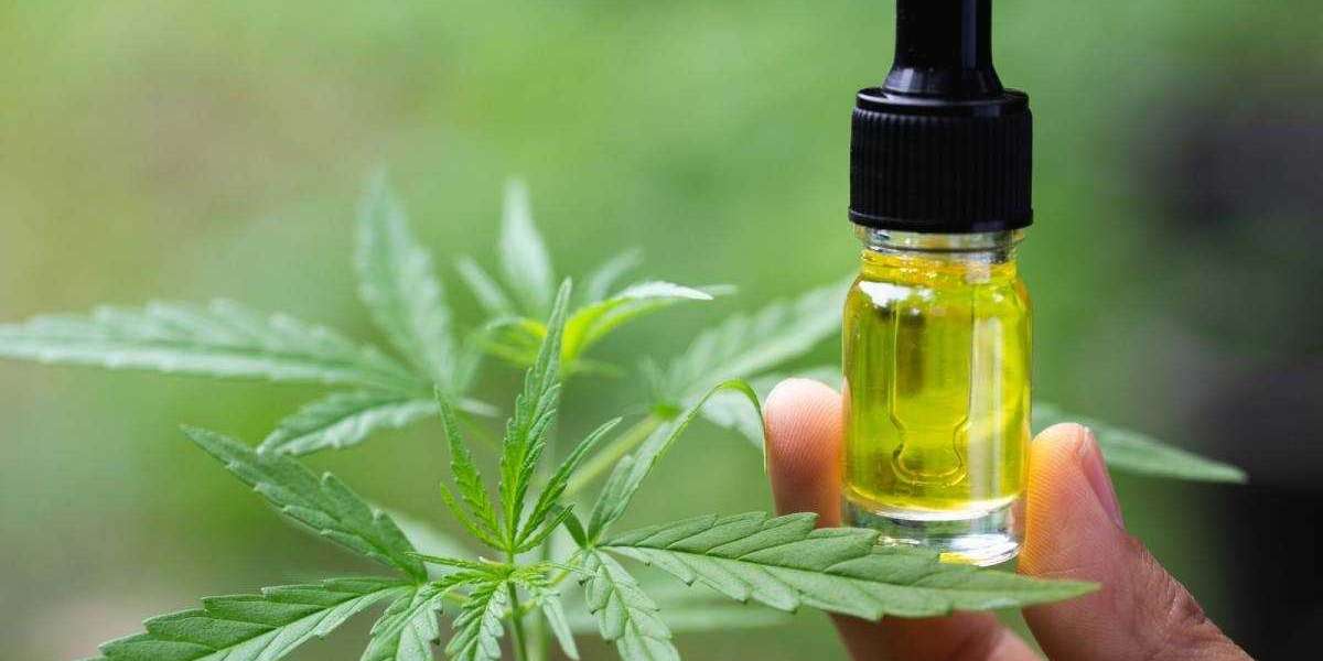 The Usage and Benefits of CBD Products