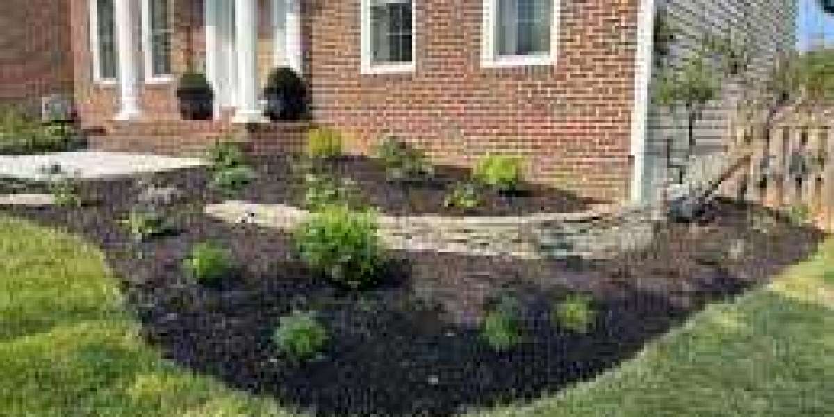 Cultivating Your Clarksville Oasis: A Guide to Local Landscaping Services