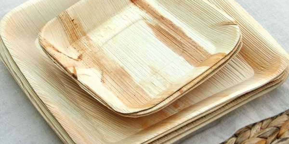 Palm Leaf Plate Market Overview, 2032 | By Dataintelo