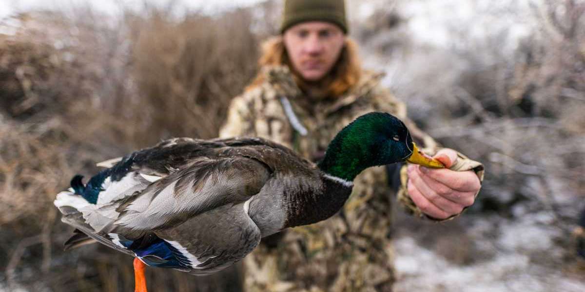 Explore the Bounty of Nature in Colorado Duck Hunter Paradise