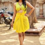 Delhi Escorts Profile Picture