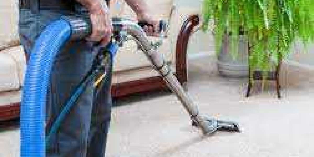 Why You Need Professional Carpet Cleaning for a Healthy Home