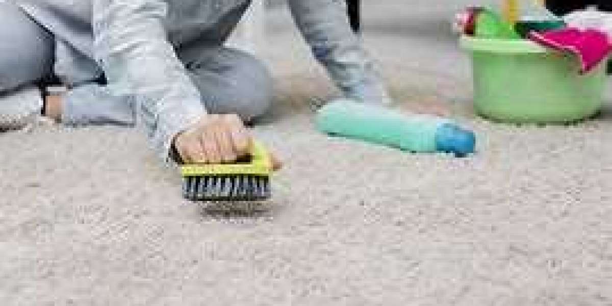 Why Professional Carpet Cleaning Services Are Necessary for Home Cleanliness