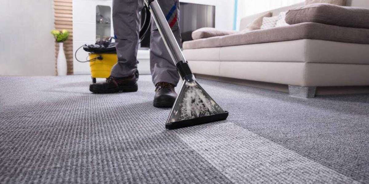 Mastering Cleanliness: Professional Carpet Cleaning Services Demystified